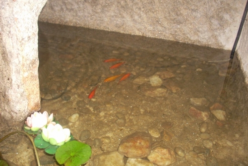 Casa Completa Do Americano