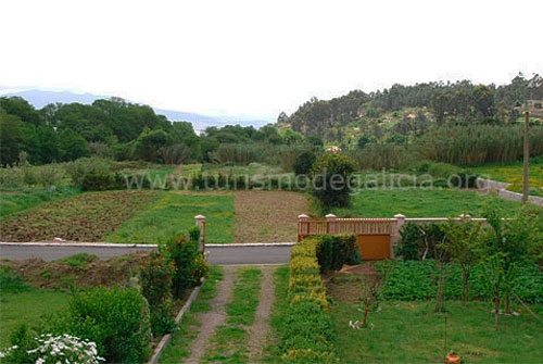 Casa Completa Moreira